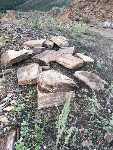 Пошаговая дорожка из плит златолит кора дерева купить в Томской области